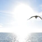 [꾸미기]사본 -사본 -DSC_0429